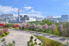 河鋼集團(tuán)唐鋼公司低壓控制柜、PLC控制柜、中控室系統(tǒng)